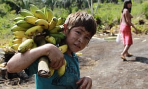 A young Araweté man carrying plantains.