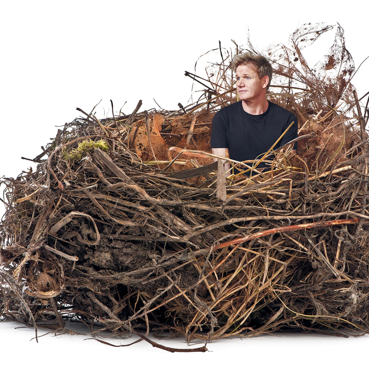 How To Cope With Empty-Nest Syndrome – Without Being Gutted By Grief |  Parents And Parenting | The Guardian
