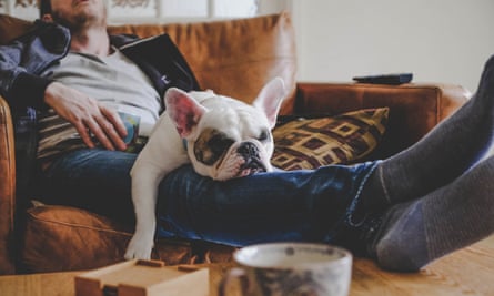 Lazy day for a bulldog and companion.