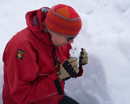 Dr Arwyn Edwards examines a sample of microbe-rich ‘cryoconite’ from glacier ice on Svalbard
