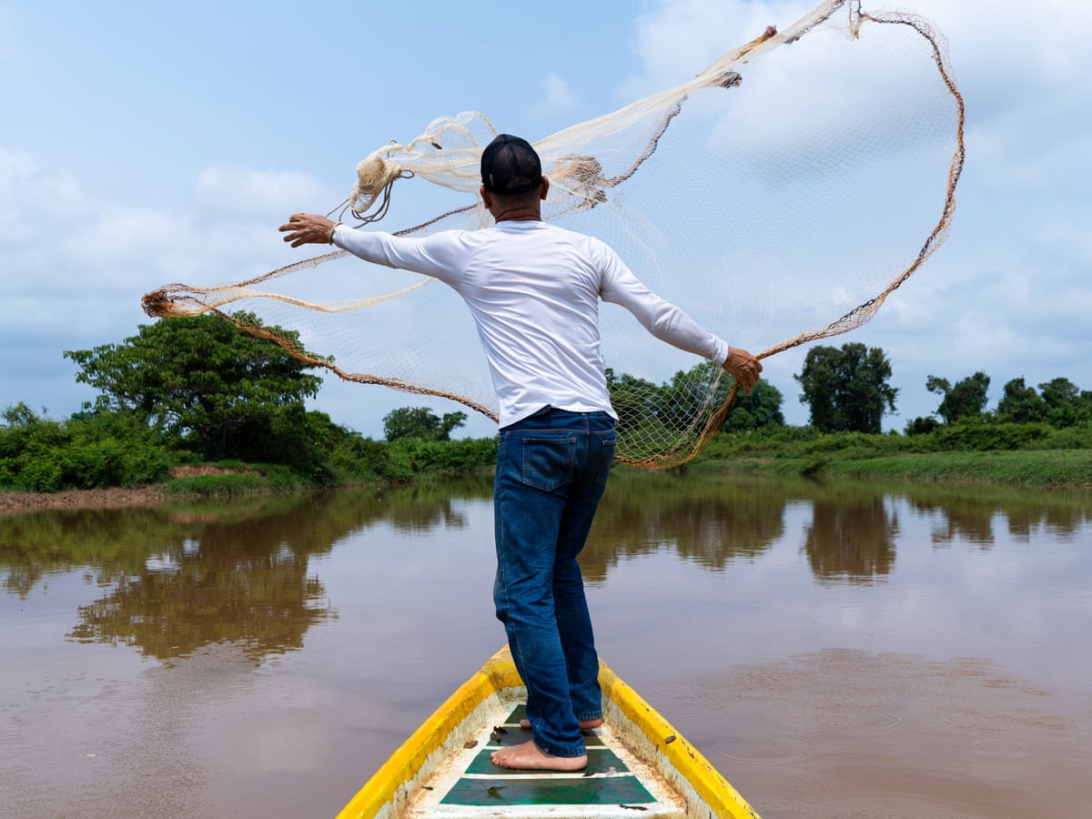 Dying fish, polluted water and a terrible stench: the French firm accused of dumping toxic waste in Colombia's wetlands | Global development | The Guardian