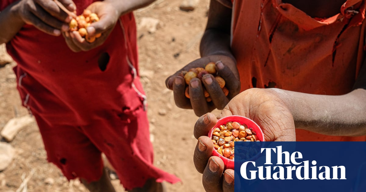 ‘At the door of death’: desperation in Ethiopia as hunger crisis deepens