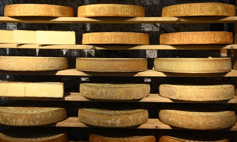 Shelves of Swiss gruyere cheese