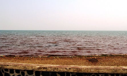 The red stain on Lake Izabal in 2017.