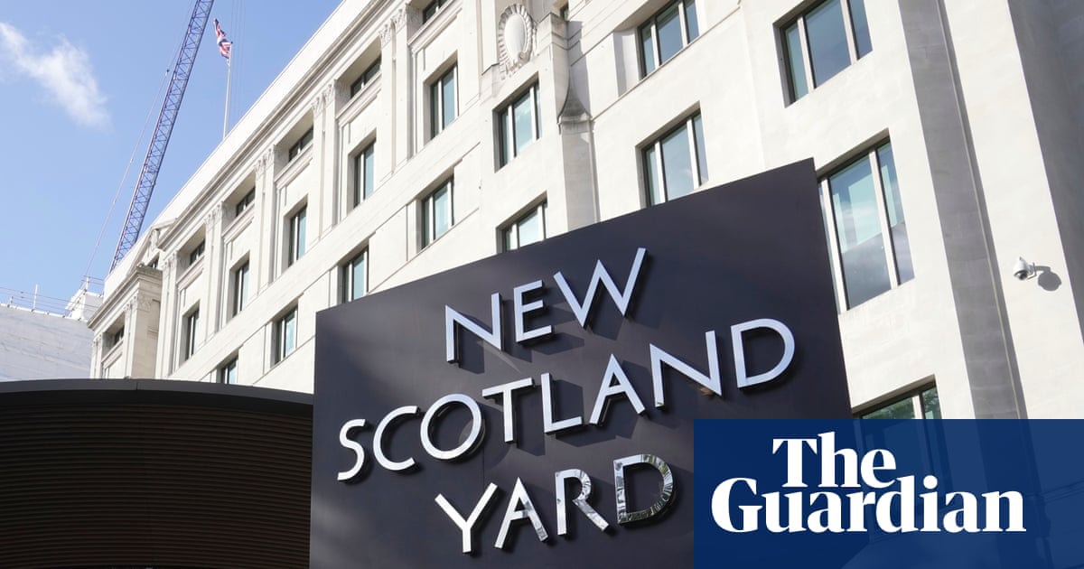 Met police in talks to buy Palantir AI tech for use in criminal investigations