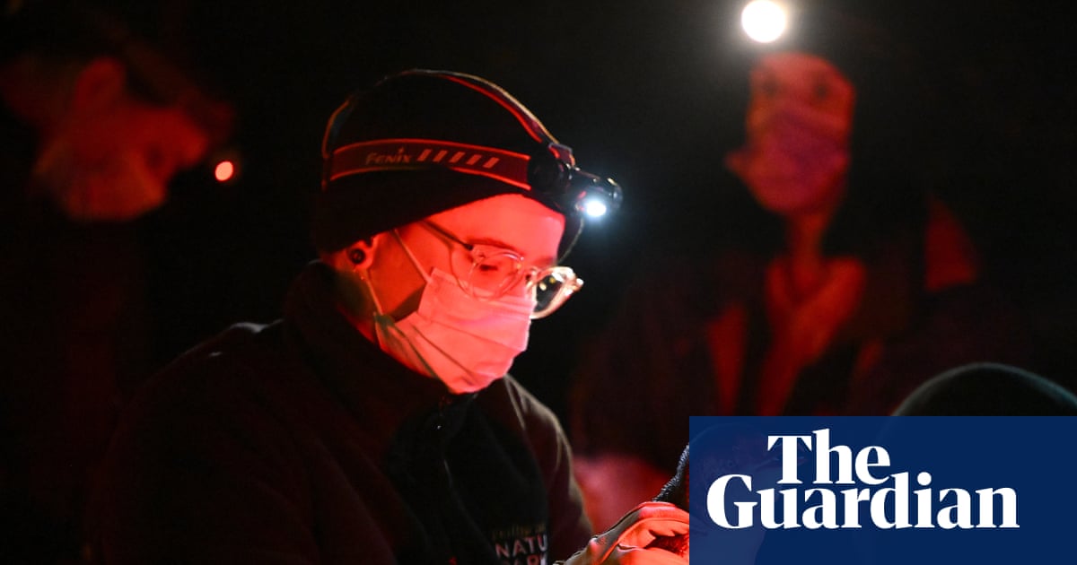 How do you vaccinate 1,000 tiny penguins against bird flu in the wild? It’s ‘really tricky’ but there is a way