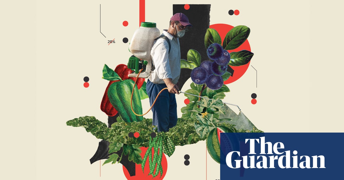 Blueberries and bell peppers: six fruits and vegetables with the most pesticide risk | Pesticides | The Guardian