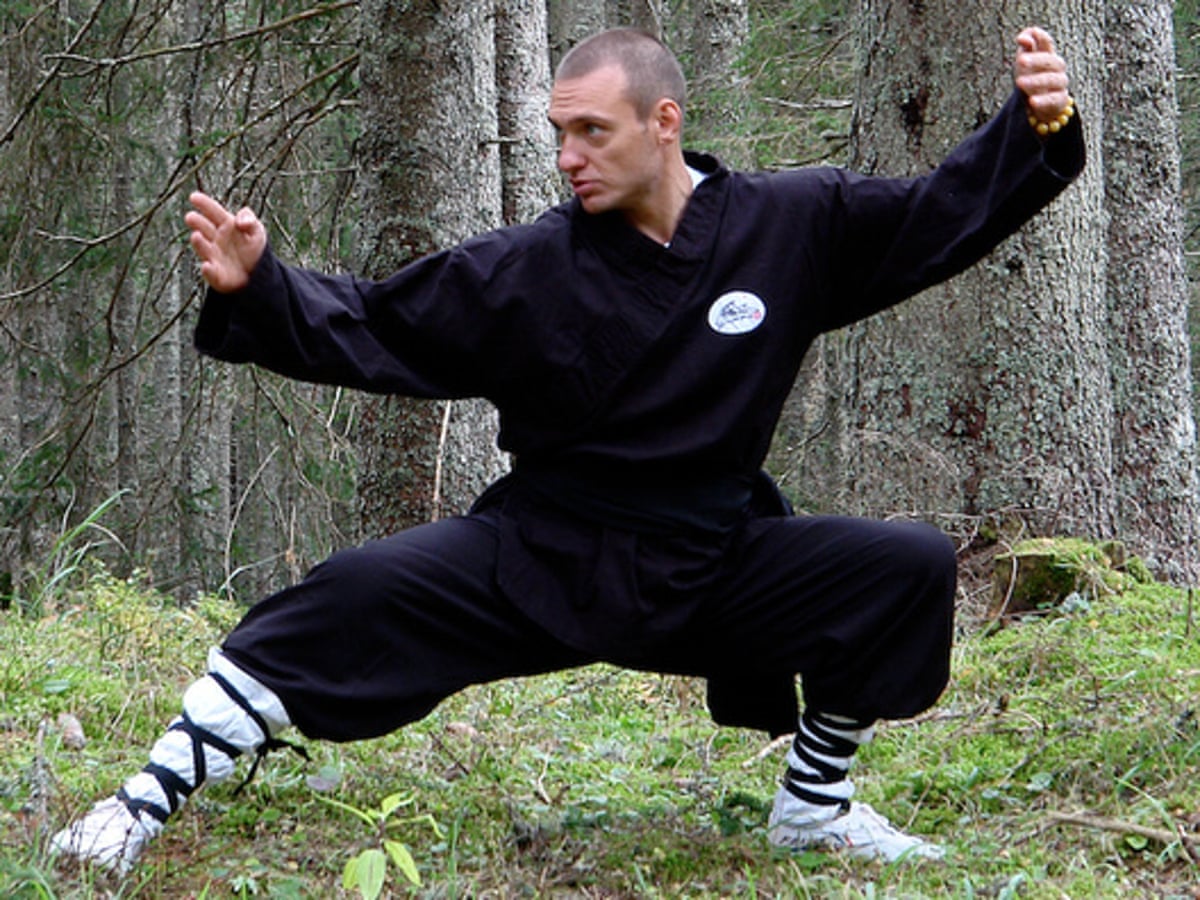 Kung Fu Crane Stance kung-fu-crane-stance