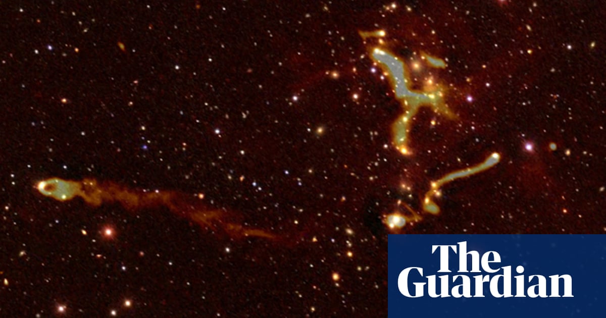 ‘I think there’s life out there’: powerful radio antenna used for first time to find exoplanets