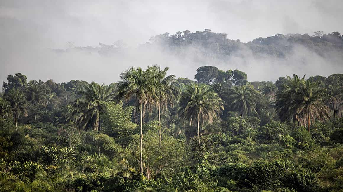 Forest-covered hills on the outskirts of Bopolu, Liberia