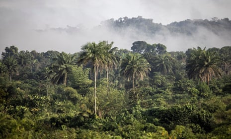 465px x 279px - The new 'scramble for Africa': how a UAE sheikh quietly made carbon deals  for forests bigger than UK | Carbon offsetting | The Guardian