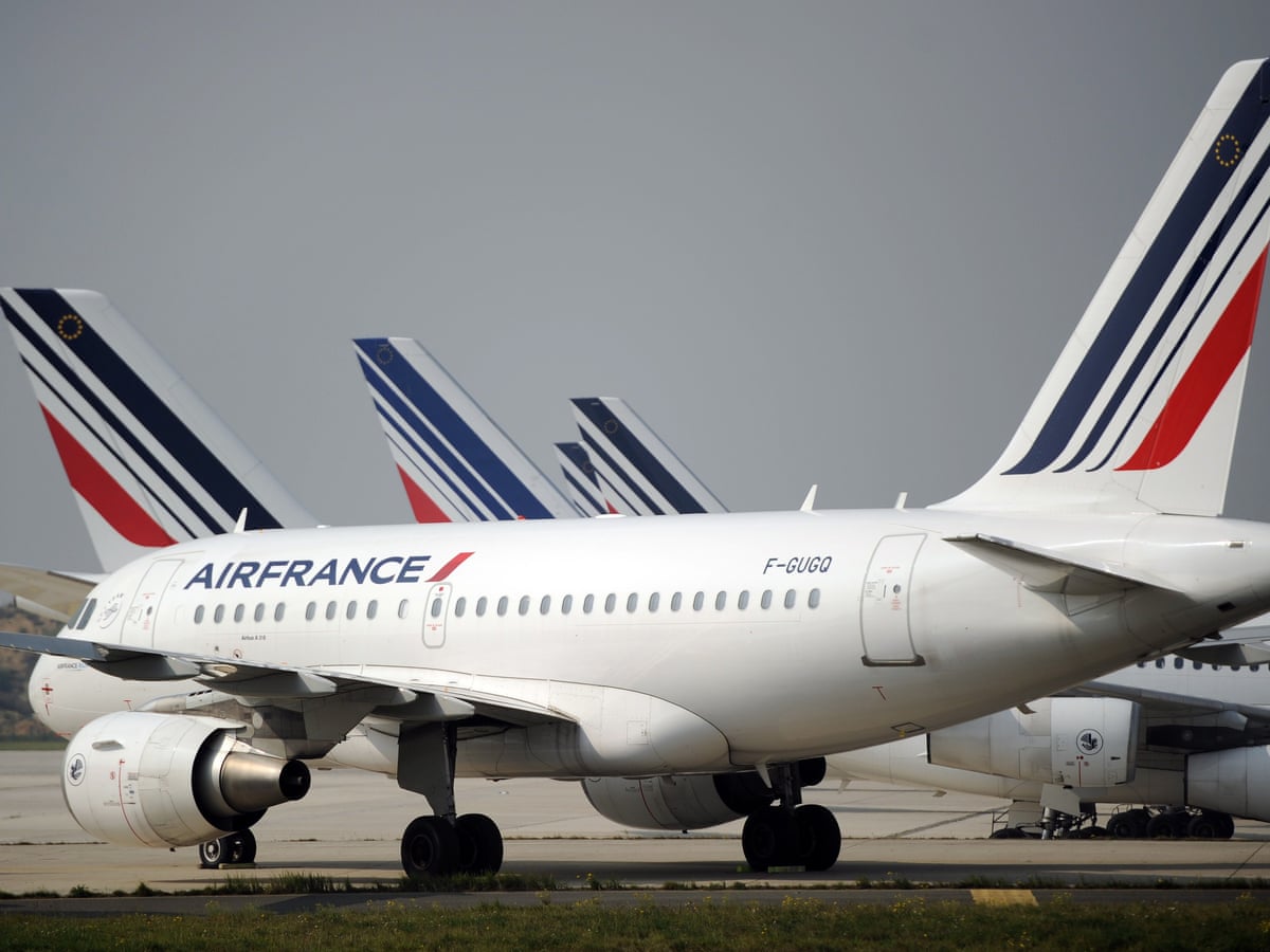 Woman hides four-year-old child in bag on flight from Istanbul to Paris | France | The Guardian