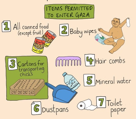 illustration shows 7 items, including canned food (except fruit), baby wipes, cartons for transporting chicks, combs, and dustpans