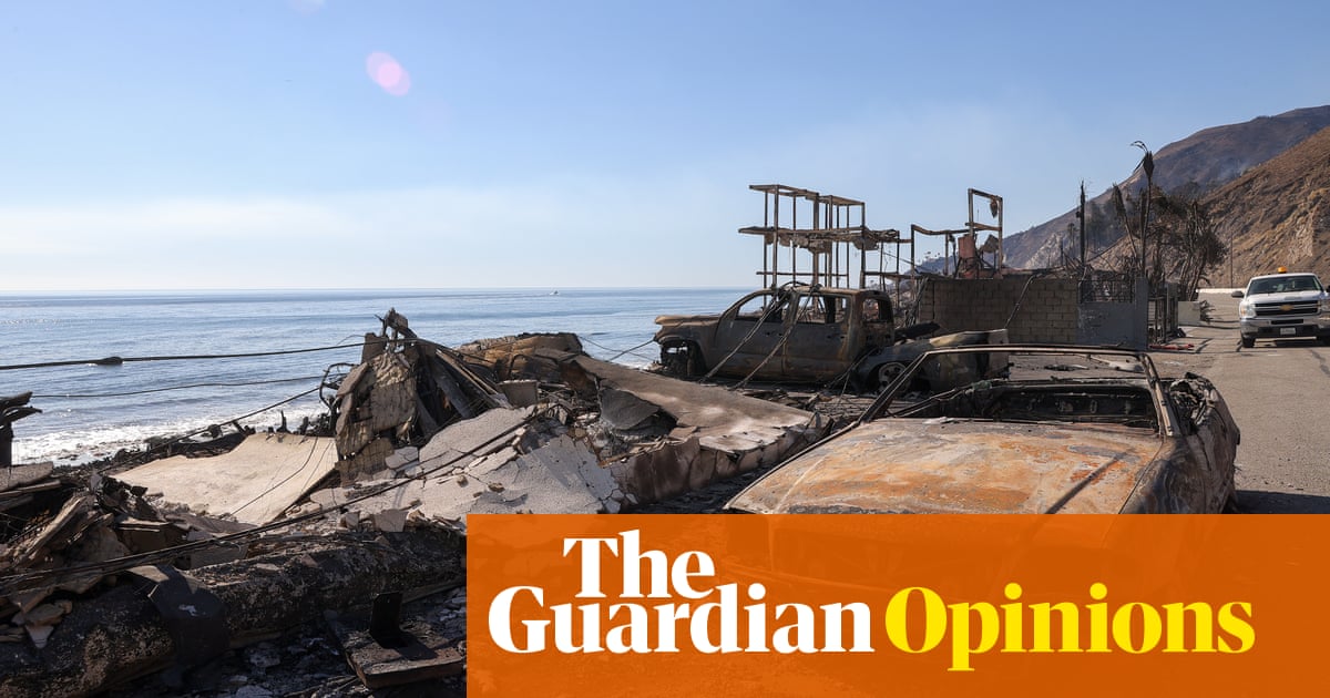 Joan Didion and Mike Davis understood LA through its fires. Even they didn’t predict this week Joan Didion and Mike Davis understood LA through its fires. Even they didn’t predict this week