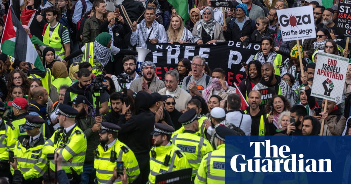 Mass protests in London put other police priorities at risk, MPs warn | Police