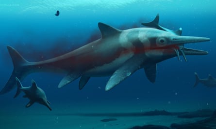 An artist’s impression of an ichthyosaur