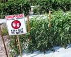 New research finds 485 chemicals in US pesticide products linked to breast cancer