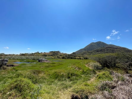 A small pool of water surrounded by green grass with a mountain in the background