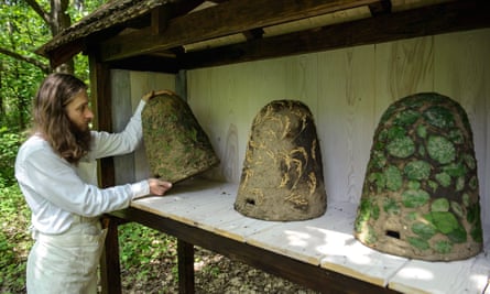 The ‘Zlota Galaz’ beekeeping facility at work in Nowy Gaj, Poland, has some nice examples of traditional up-right mud “skeps” that have been used for beehives since the middle ages.