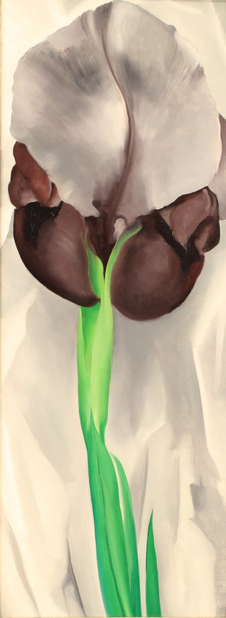 Georgia O’Keeffe’s Dark Iris No 1, 1927
