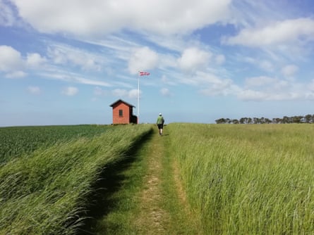 A tiny hut in a field, with a flagpole beside it