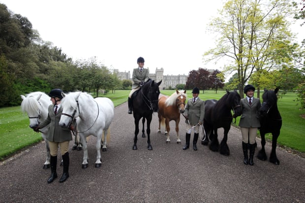 Four-legged farewells: Queen’s corgis and pony attend funeral procession 2 Emma, on the right in this shot of several of the Queen’s horses, in 2020 on the private grounds of Windsor Castle