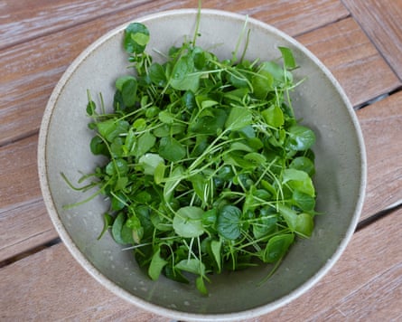 A bowl of fresh watercress