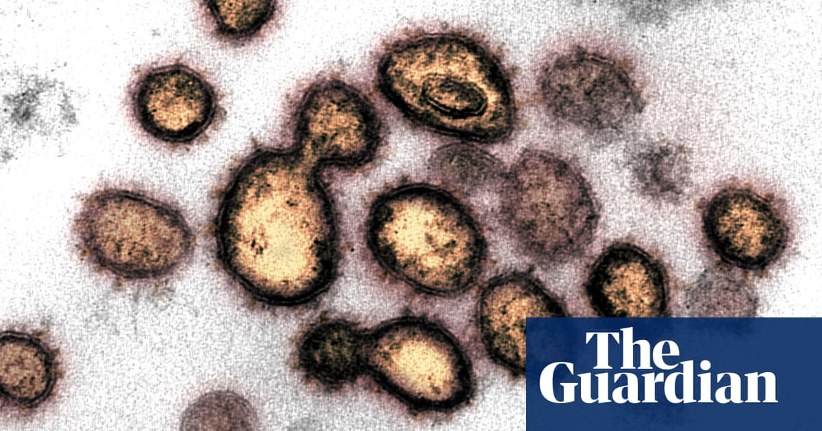 Private Firms Criticised Over 295 Coronavirus Testing Kits World News The Guardian