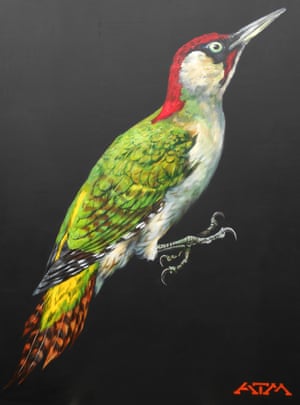 Green woodpecker – acrylic on board