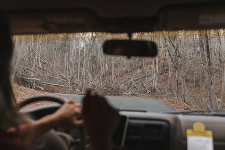 April Wilson, a certified master arborist, drives through a North Asheville suburb pointing to failed tulip trees in the Northern suburb of Asheville, North Carolina, on March 6, 2025.