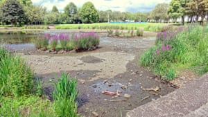Knightswood Park boating pond dries up in Glasgow