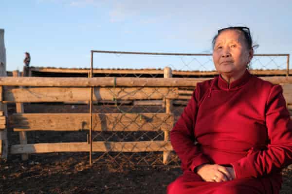 Dust, hail and bank loans: the Mongolian herders facing life without grass  | Global development | The Guardian