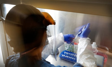 Coronavirus test swabs being processed in a lab