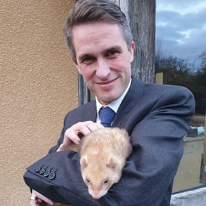 Gavin Williamson and ferret