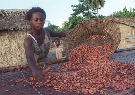 Fairtrade cocoa farmers in Ghana, Africa.