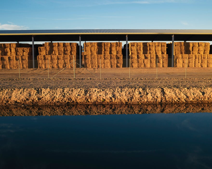 The storage barns at Fondomonte Farms and a PVID irrigation ditch, Blythe, California, USA, 2019