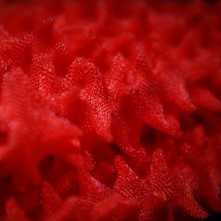 Fabric from the Night Market collection.