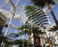 A woman in red stands on a staircase amid ferns inside the Royal Botanic Garden Edinburgh's restored palm houses