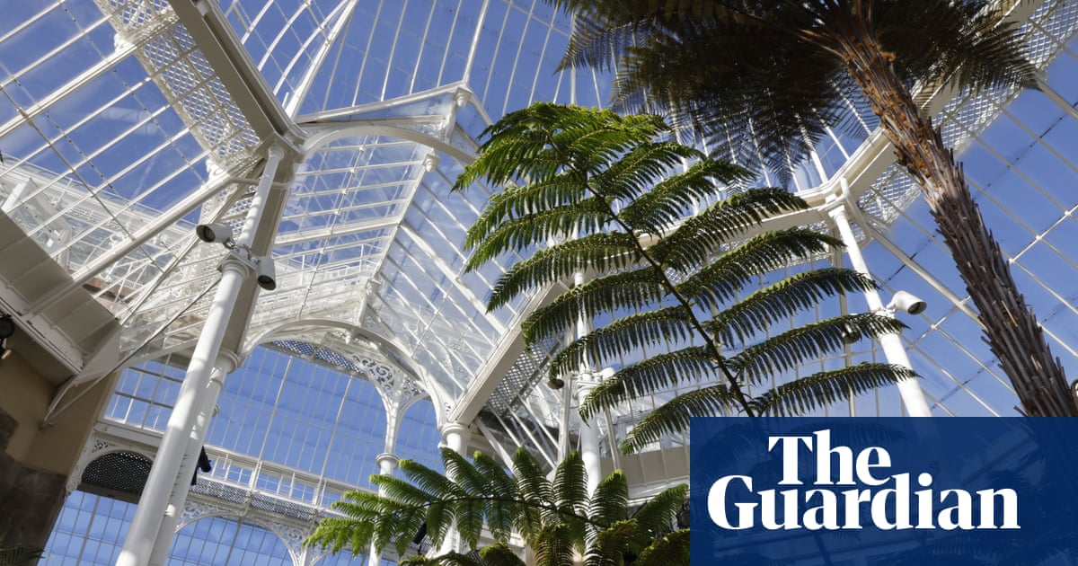 Falling glass and ‘decapitated’ plants: the race to protect Edinburgh botanic garden’s plants