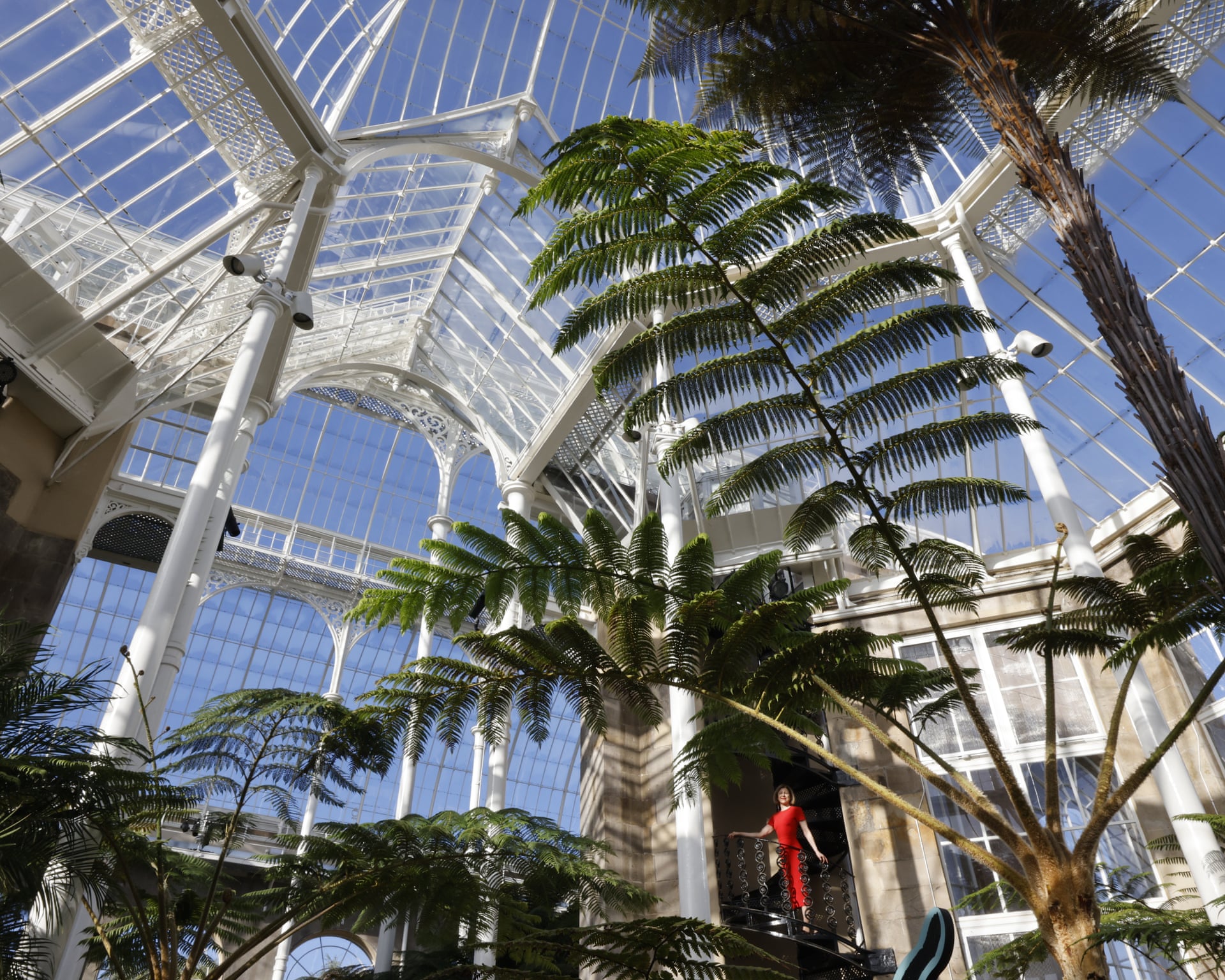 Photo: Theguardian Royal Botanic Garden Edinburgh Reopens Restored Palm Houses