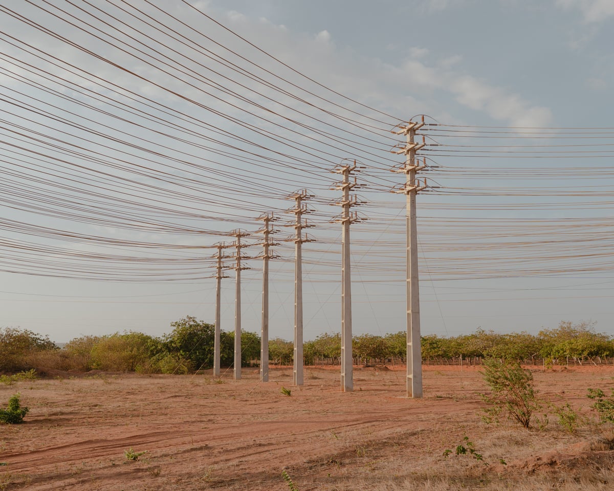 High-voltage power lines in Serra do Mel.