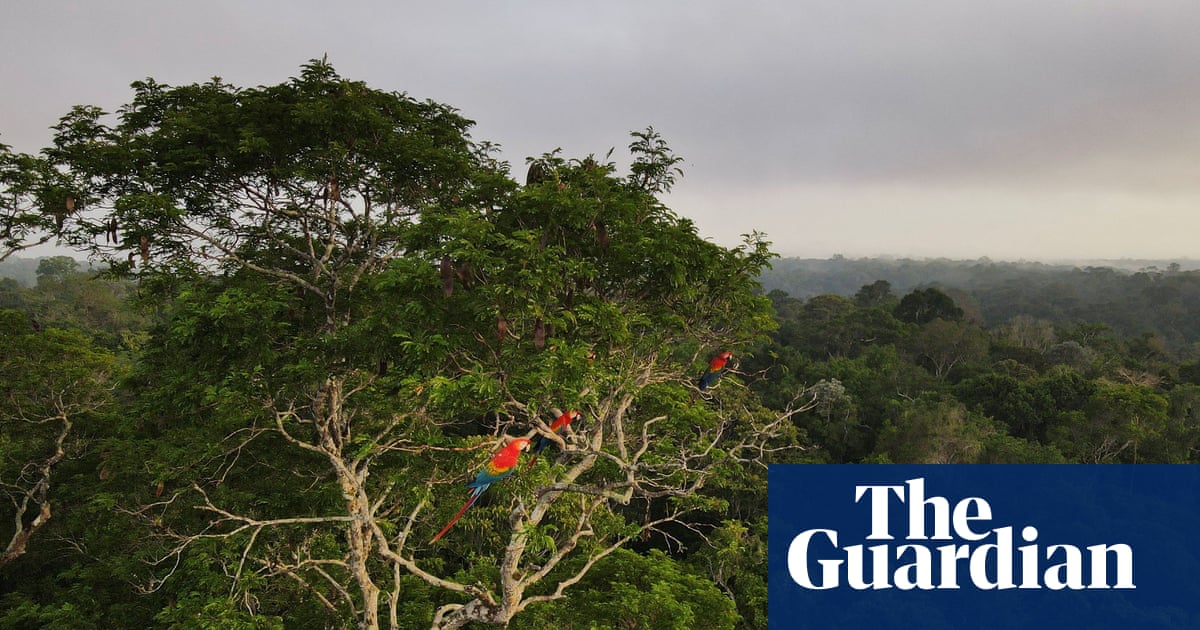Can ecosystems ‘malfunction’?
