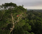 Can ecosystems ‘malfunction’?
