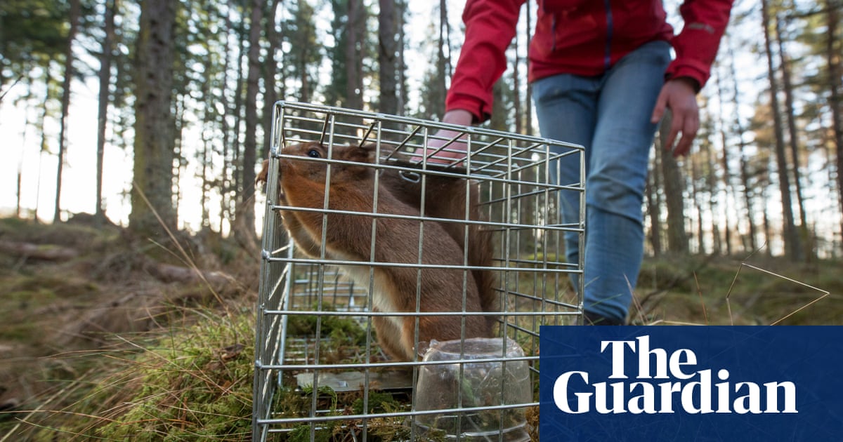 The British Wildlife Photography awards 2017 - in pictures