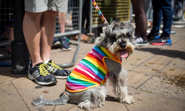 A dog is dressed in a rainbow coat as people gather to watch the annual event.