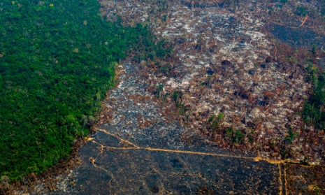 An aerial view of deforestation in the Amazon basin