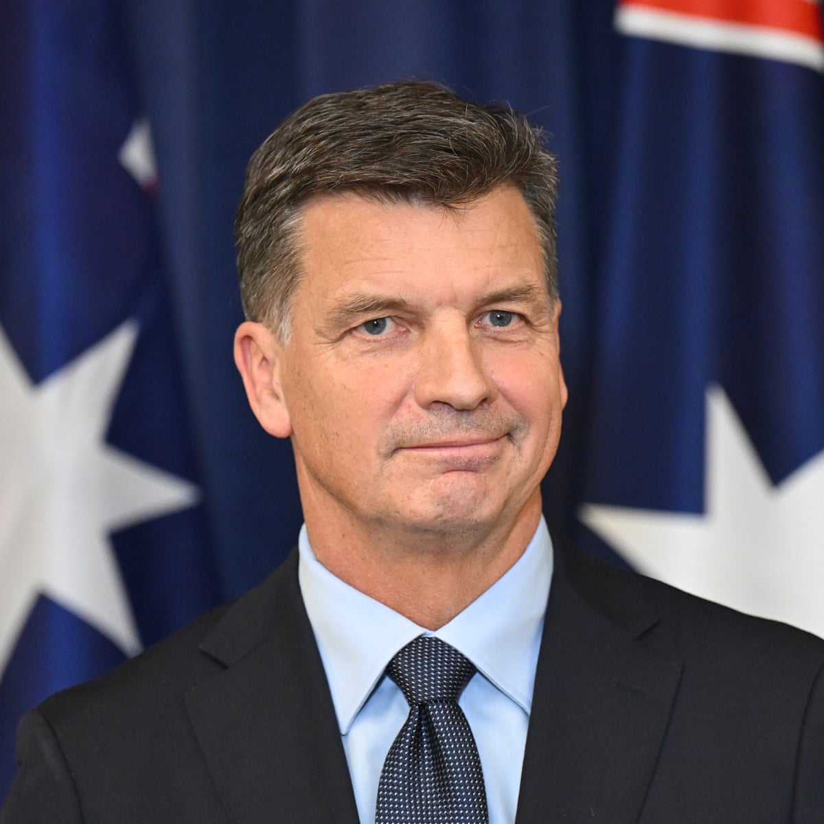 A 'desiccated coconut' and a 'grub': Angus Taylor has copped ...