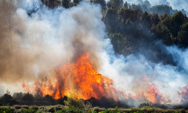 Wildfires advance towards the eastern town of Palma de Gandia in Valencia, Spain, on 3 November 2023