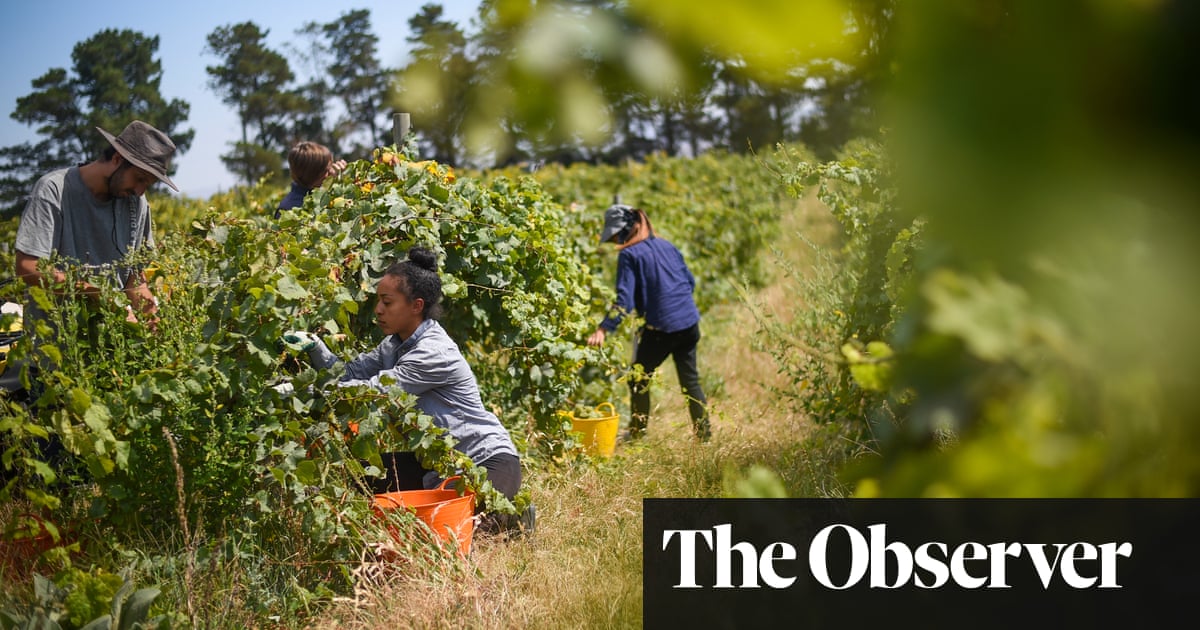 Riesling Is On The Rise David Williams Food The Guardian