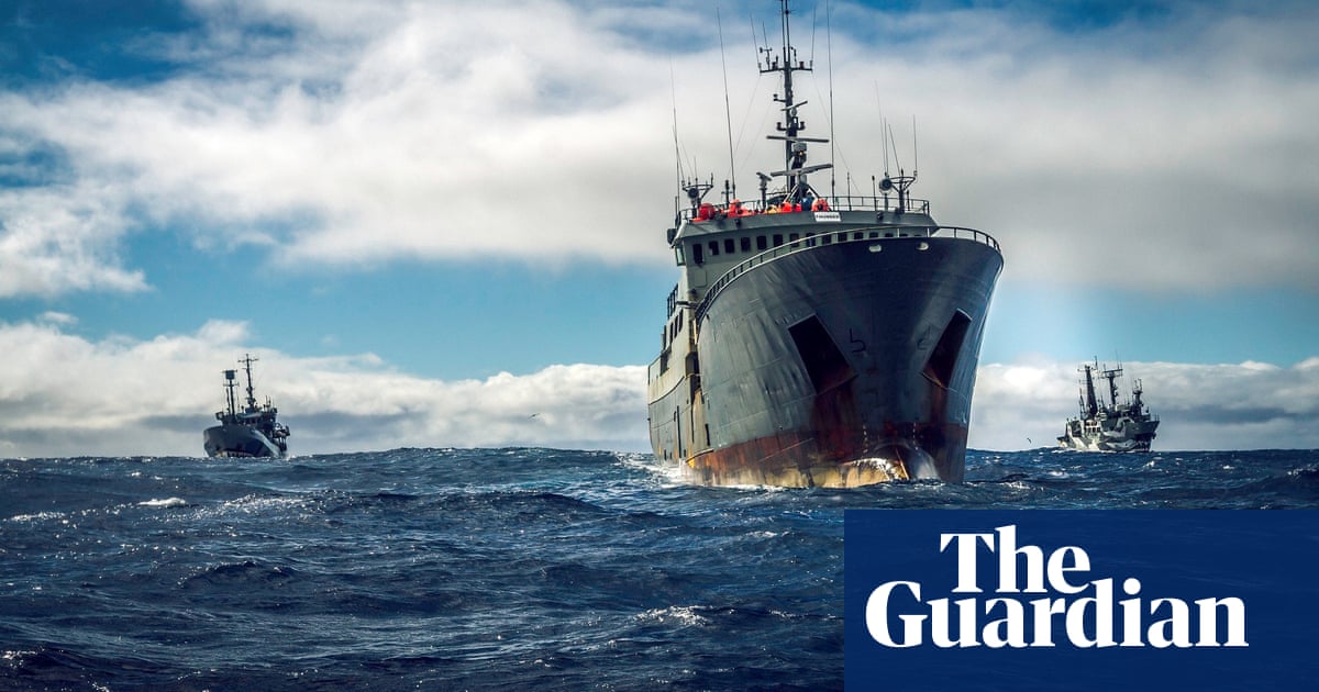 ‘It was sink or turn yourself in’: behind a dangerous 10,000-mile ocean pursuit